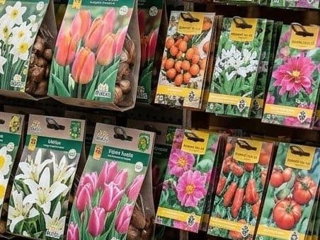 Bulbs & seeds